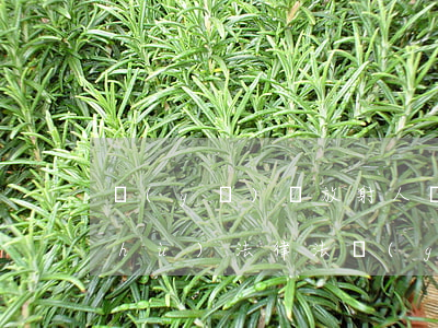 醫(yī)療放射人員職業(yè)防護(hù)法律法規(guī)(放射衛(wèi)生防護(hù)管理所依據(jù)的法律,法規(guī)主要有：《》,《》,《》,《)