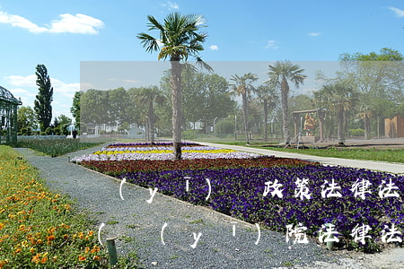 醫(yī)療政策法律法規(guī)試題(醫(yī)院法律法規(guī)考試試題和答案)