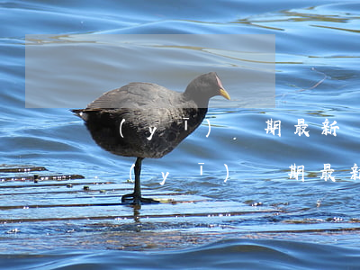 醫(yī)療期最新規(guī)定(北京市醫(yī)療期最新規(guī)定)