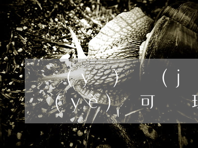 醫(yī)療機(jī)構(gòu)職業(yè)許可證（辦理醫(yī)療機(jī)構(gòu)職業(yè)許可證需要哪些資料）