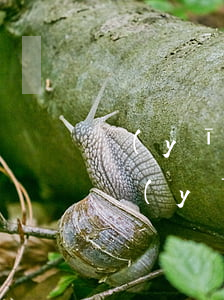 醫(yī)療機(jī)構(gòu)過度醫(yī)療的責(zé)任
