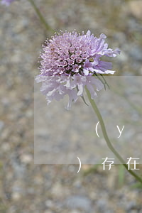 醫(yī)療機構(gòu)資質(zhì)存在法律風險