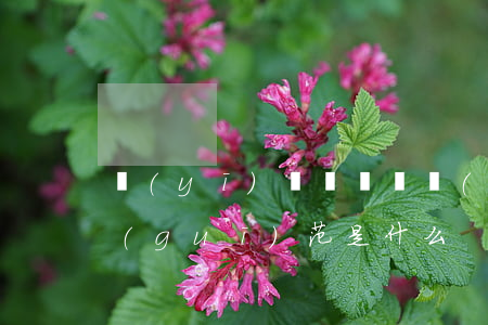 醫(yī)療機構從業(yè)人員行為規(guī)范是什么