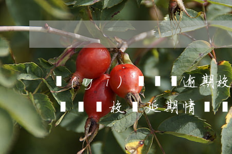 醫(yī)療機構逾期校驗說明(醫(yī)療機構校驗延期情況說明)