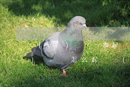 醫(yī)療糾紛寄起訴書有用嗎(醫(yī)療糾紛怎么起訴醫(yī)院)