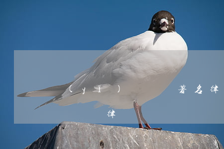 醫(yī)療糾紛著名律師(知名醫(yī)療糾紛律師)