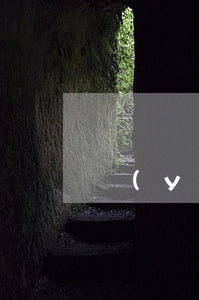 醫(yī)療糾紛訴訟審理程序