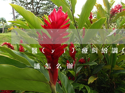醫(yī)療糾紛調(diào)解后有異議怎么辦