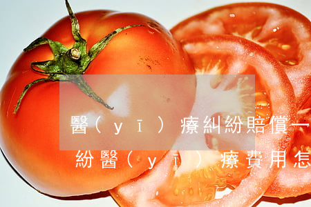醫(yī)療糾紛賠償一般是多少年(民事糾紛醫(yī)療費用怎么賠償)
