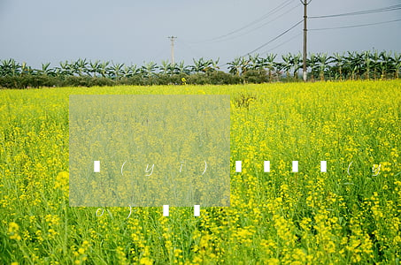 醫(yī)療糾紛醫(yī)保能報(bào)銷嗎