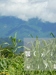 醫(yī)療衛(wèi)生法律法規(guī)培訓(xùn)主持詞(醫(yī)療知識競賽主持稿)