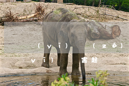 醫(yī)療責(zé)任糾紛起訴狀(醫(yī)療損害起訴狀)