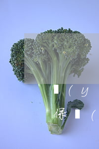 醫(yī)療責(zé)任險(xiǎn)保費(fèi)是多少