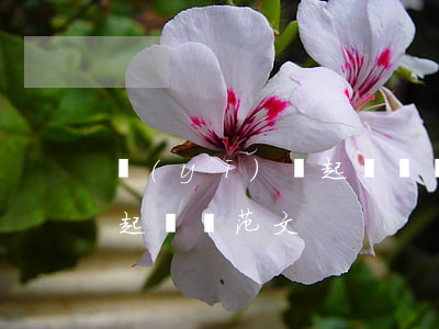 醫(yī)療起訴書(醫(yī)療糾紛民事起訴狀范文)