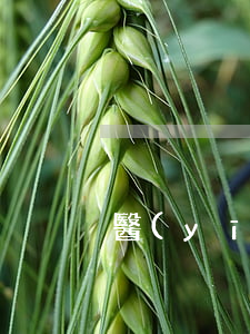 醫(yī)療過錯的界定標準是什么
