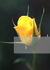醫(yī)療鑒定一般要多少錢(qián)