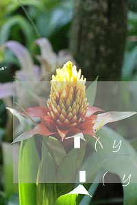 醫(yī)療鑒定專家提醒：六種情況不屬于醫(yī)療事故