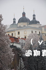 醫(yī)美信用卡逾期(醫(yī)美貸款逾期真的會上門嗎)