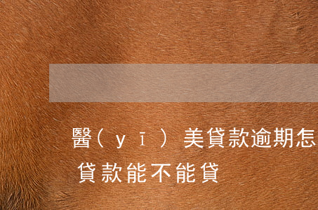 醫(yī)美貸款逾期怎么辦(醫(yī)美貸款能不能貸)