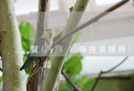 醫(yī)藥投資服務(wù)協(xié)議