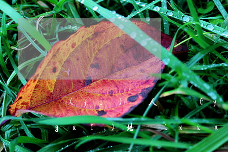 醫(yī)護人員醫(yī)療法律法規(guī)培訓(xùn)(醫(yī)院法律法規(guī)培訓(xùn)內(nèi)容)