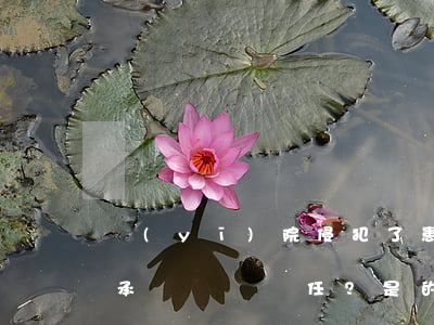 醫(yī)院侵犯了患方知情同意權，不一定承擔賠償責任？是的，有合法依據(jù)！