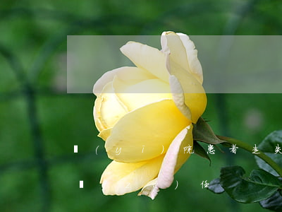 醫(yī)院患者走失是誰(shuí)的責(zé)任
