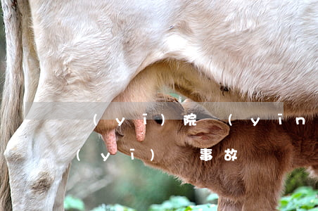 醫(yī)院應(yīng)該如何處理醫(yī)療事故