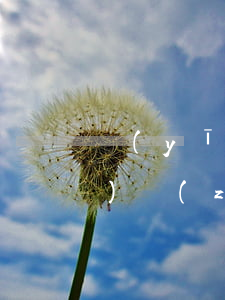 醫(yī)院收費(fèi)標(biāo)準(zhǔn)
