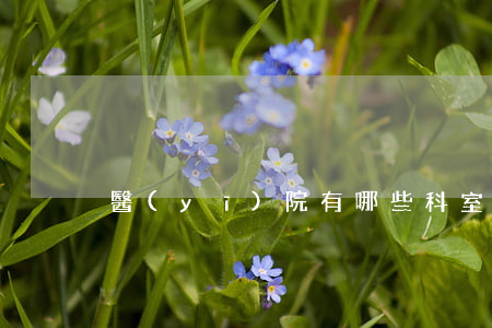 醫(yī)院有哪些科室