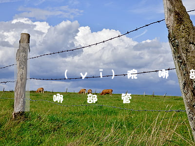 醫(yī)院歸哪個部門管(醫(yī)院歸哪個部門管)