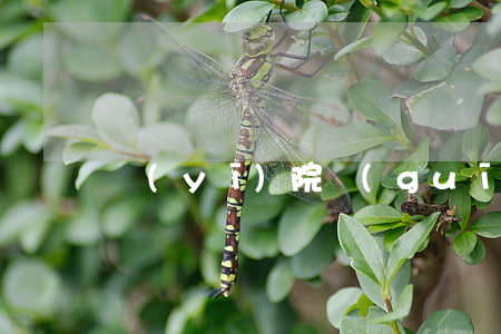 醫(yī)院規(guī)培是什么意思