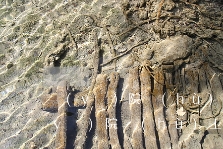 醫(yī)院護(hù)工哪里找(上海醫(yī)院護(hù)工哪里找)