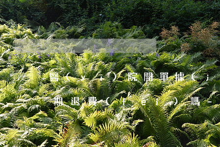 醫(yī)院開單據(jù)如果不檢查逾期退費(fèi)嗎-醫(yī)院開單據(jù)如果不檢查逾期退費(fèi)嗎怎么辦