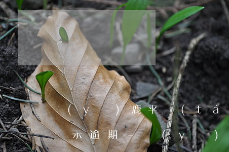 醫(yī)鹿平臺(tái)疫苗已打但是顯示逾期-醫(yī)鹿預(yù)約疫苗不去會(huì)怎么樣
