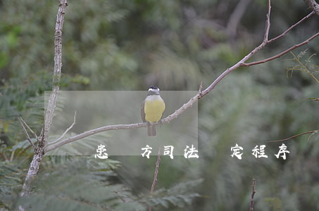 醫患雙方司法鑒定程序