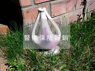 醫療保險報銷