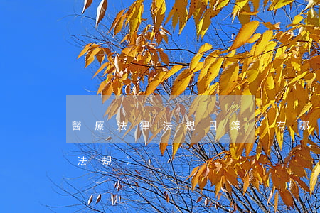 醫療法律法規目錄(有哪些醫療相關的法律法規)