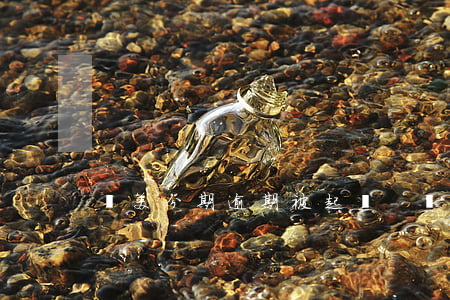 醫美分期逾期被起訴-醫美貸款逾期合法嗎