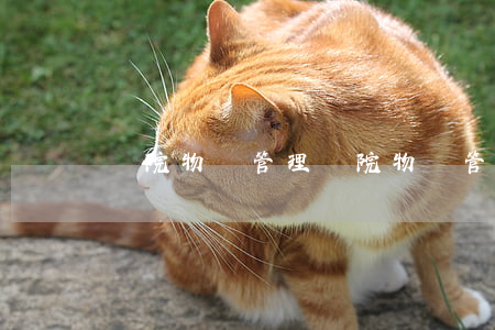 醫院物業管理(醫院物業管理公司有哪些)