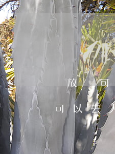 釋放證可以去人行消除逾期記錄嗎-釋放證可以去人行消除逾期記錄嗎