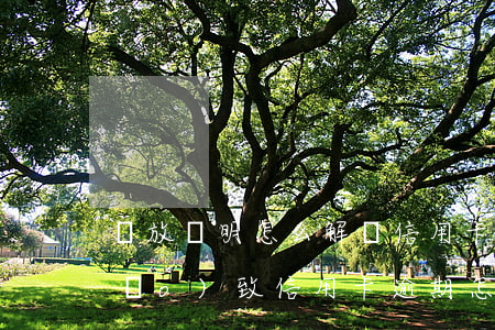 釋放證明怎么解決信用卡逾期 被拘留導(dǎo)致信用卡逾期怎么辦