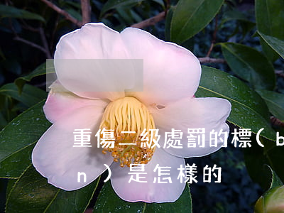 重傷二級處罰的標(biāo)準(zhǔn)是怎樣的
