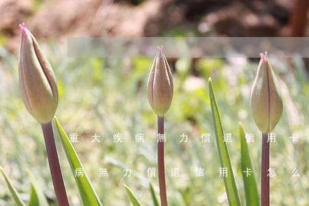 重大疾病無力償還信用卡怎么處理-重大疾病無力償還信用卡怎么處理呢