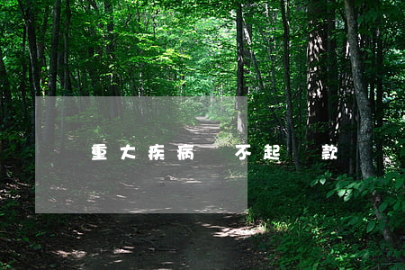 重大疾病還不起貸款