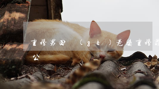 重婚男四個(gè)老婆,重婚罪是自訴還是公訴