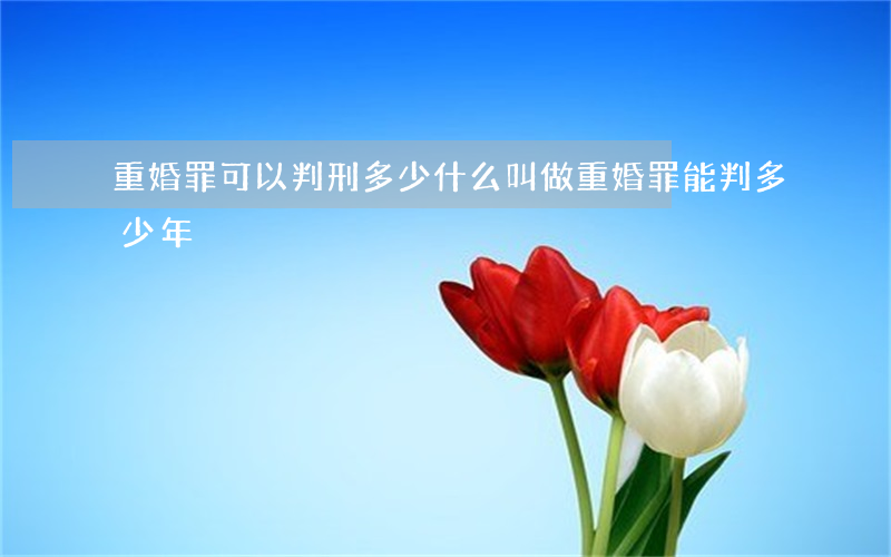 重婚罪可以判刑多少(什么叫做重婚罪?能判多少年)