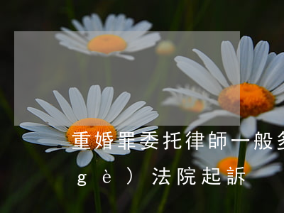 重婚罪委托律師一般多少錢(重婚罪去哪個(gè)法院起訴)
