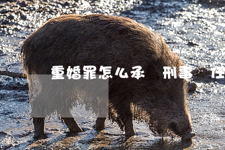 重婚罪怎么承擔刑事責任