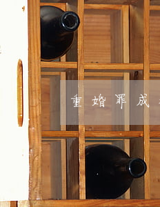 重婚罪成都官員(重婚罪案件)